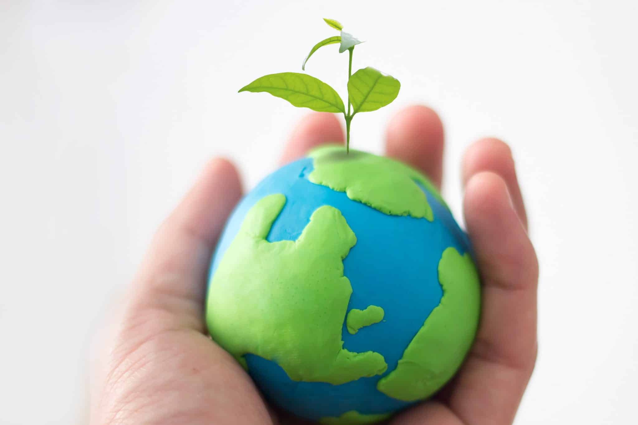 Representação da Vida Plantárea na Terra